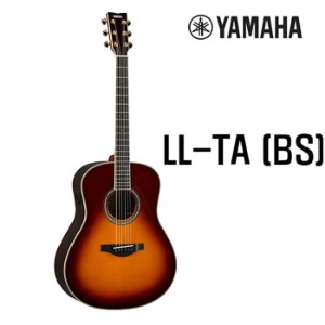 Yamaha 야마하 LL-TA (BS)