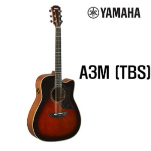 Yamaha 야마하 A3M TBS